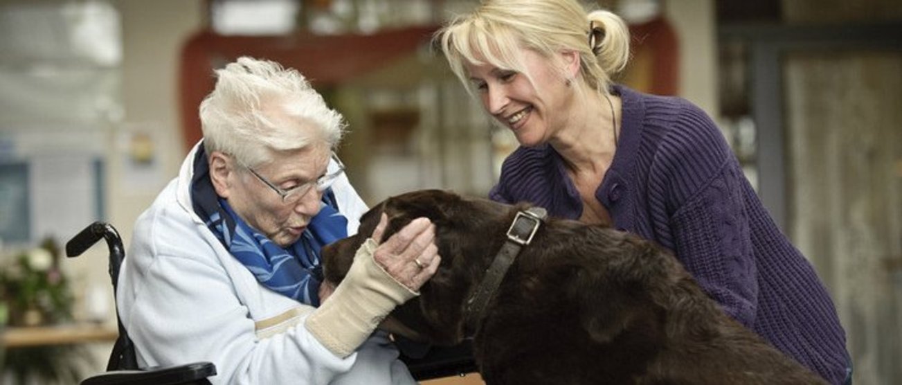 Eine Frau im Rollstuhl streichelt einen Hund. Eine Pflegefachfrau steht lächelnd neben Ihr. csm_100504_DKW_BOT_304-web_01_0c77ec740a.jpg